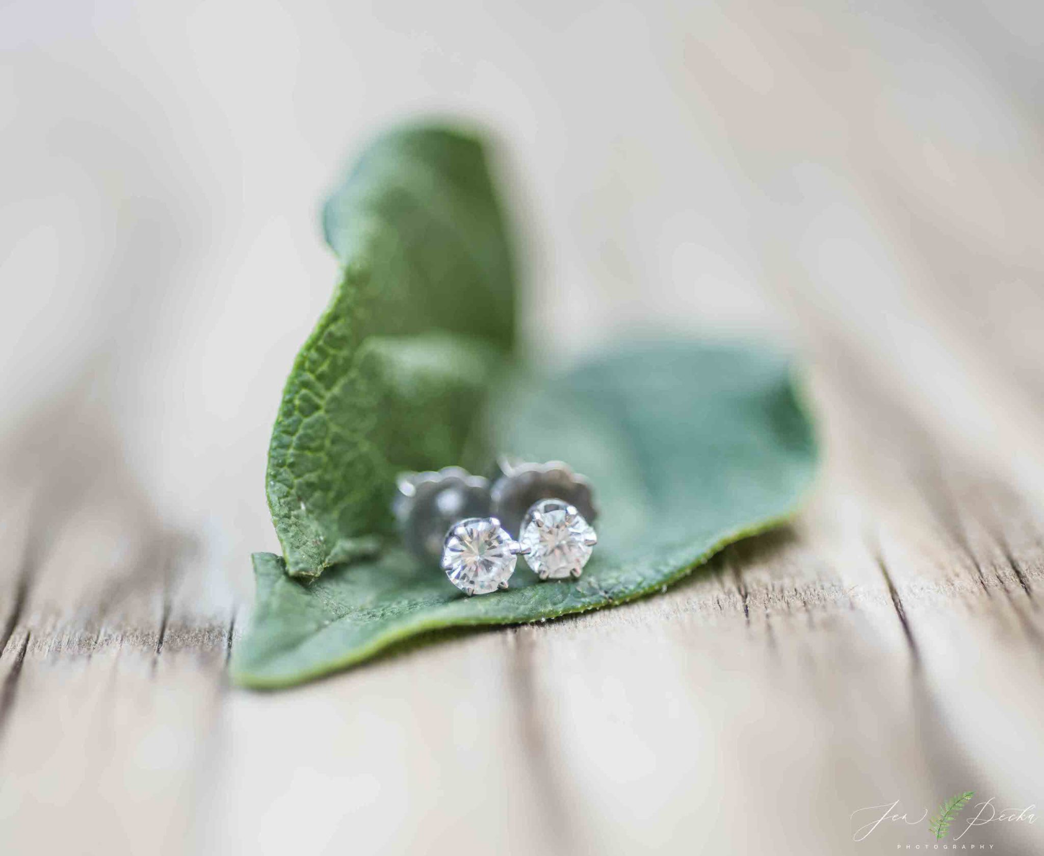 Loryn + Jared (Owego Treadway/Terra Cotta Wedding) » Jen Pecka